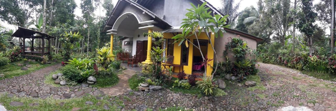 Hadi Homestay Banyuwangi  Exteriér fotografie